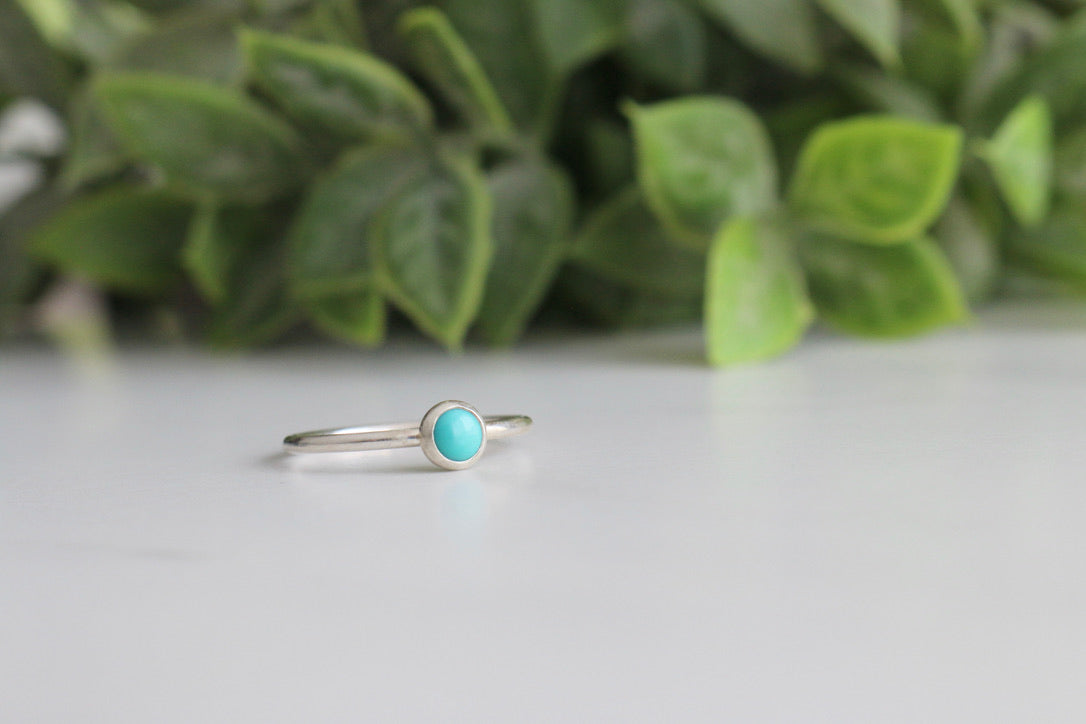 Carico Lake Ring