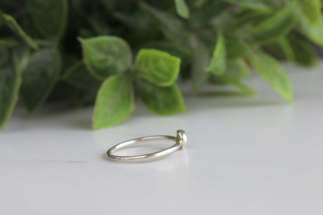 Carico Lake Ring
