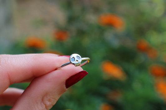 tiny skull on a silver ring band