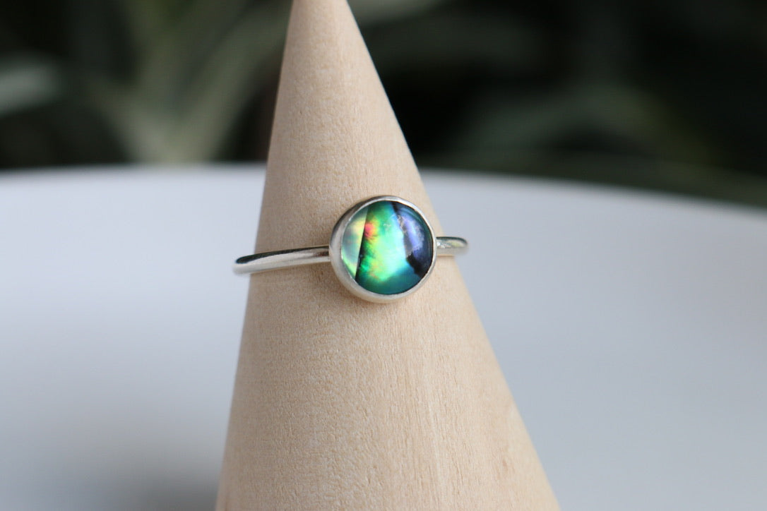 Abalone Ring